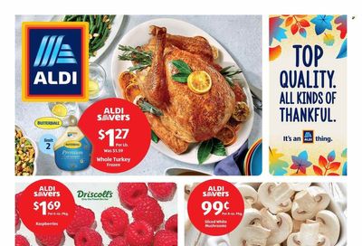 ALDI (MI) Weekly Ad Flyer Specials November 8 to November 14, 2023