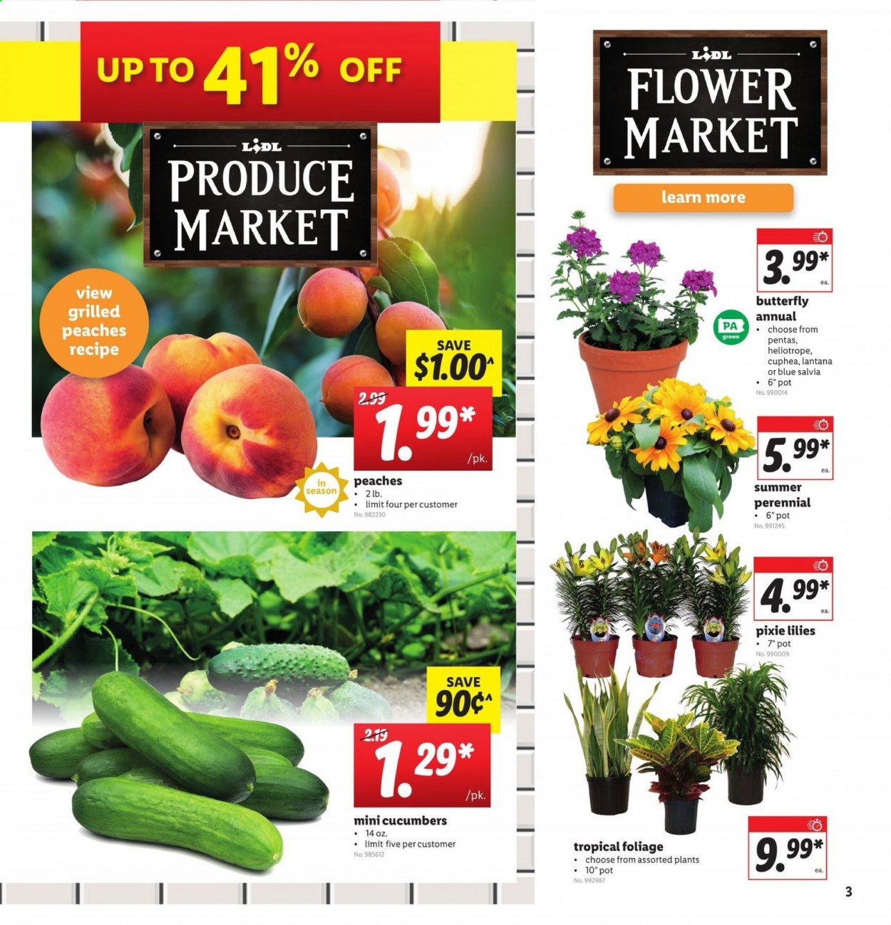 Lidl Weekly Ad & Flyer May 27 to June 2