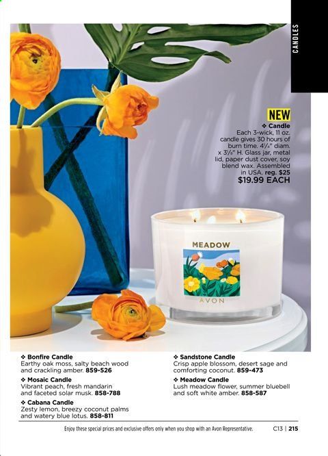 Avon Weekly Ad & Flyer May 26 to June 8