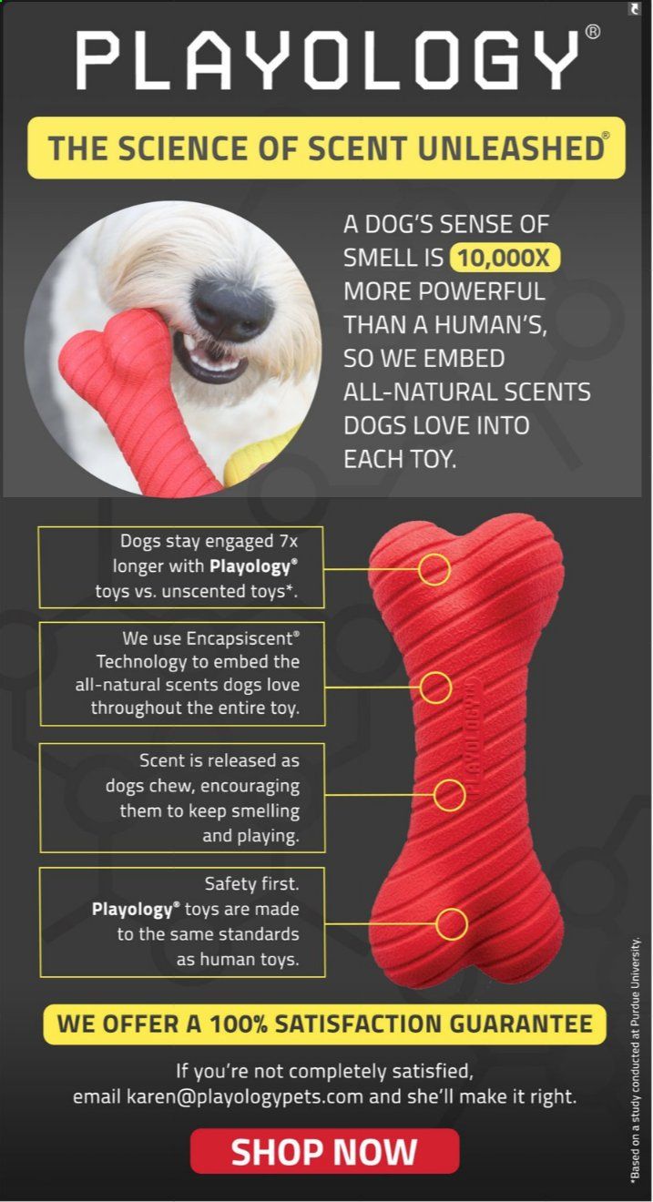 PetSmart Weekly Ad & Flyer June 1 to July 5