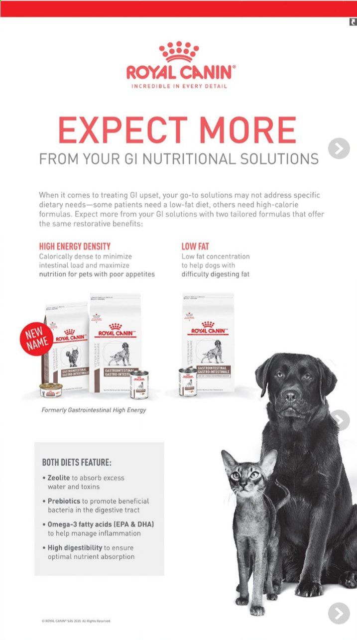 PetSmart Weekly Ad & Flyer June 1 to July 5