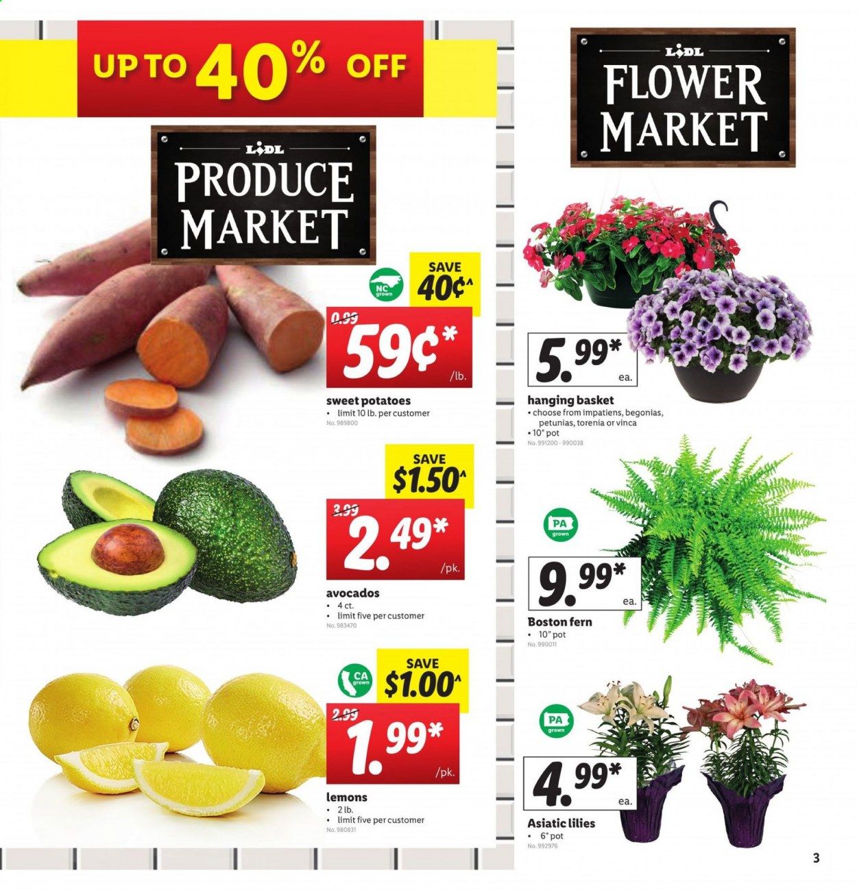 Lidl Weekly Ad & Flyer June 3 to 9