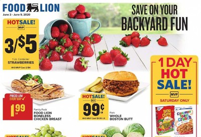 Food Lion Weekly Ad & Flyer June 3 to 9