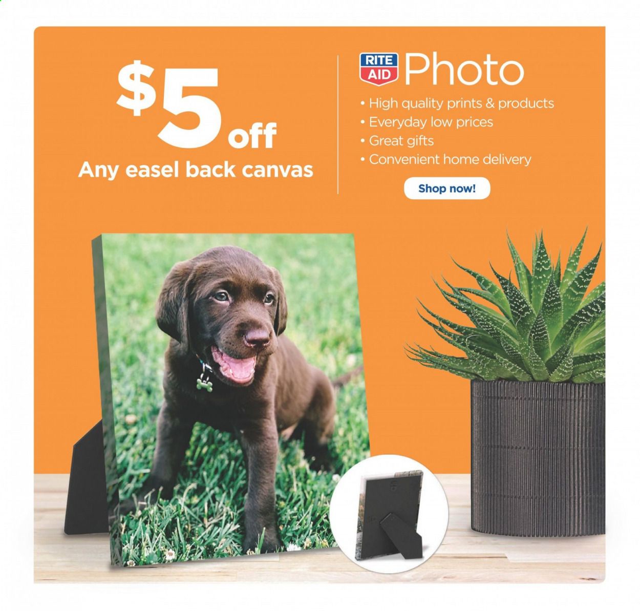 RITE AID Weekly Ad & Flyer June 14 to 20