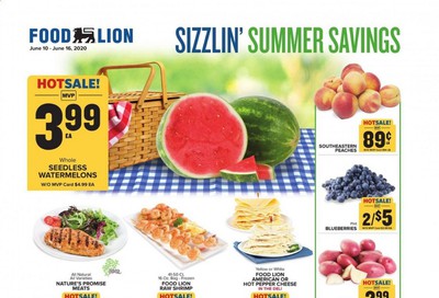 Food Lion Weekly Ad & Flyer June 10 to 16