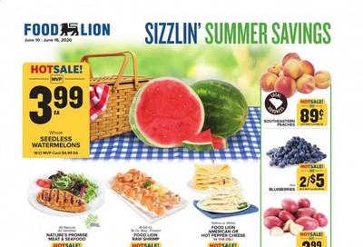 Food Lion Weekly Ad & Flyer June 10 to 16
