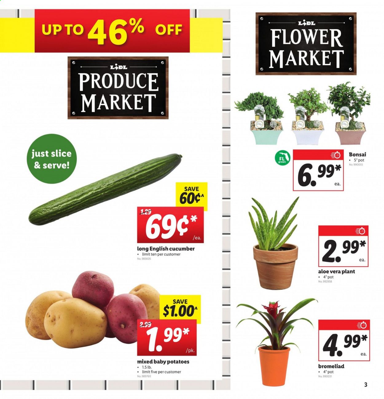 Lidl Weekly Ad & Flyer June 10 to 16