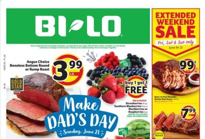 BI-LO Weekly Ad & Flyer June 17 to 23