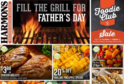 Harmons Weekly Ad & Flyer June 16 to 22