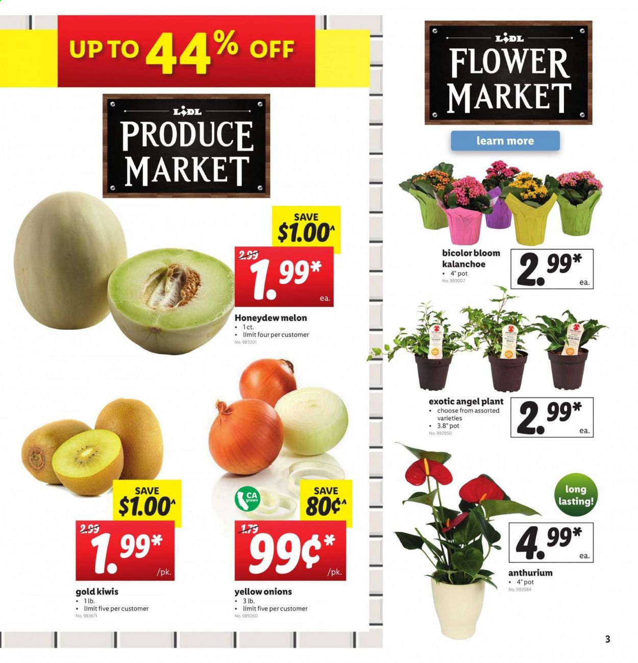 Lidl Weekly Ad & Flyer June 17 to 23