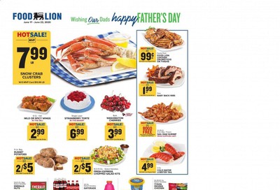 Food Lion Weekly Ad & Flyer June 17 to 23