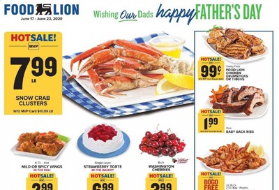 Food Lion Weekly Ad & Flyer June 17 to 23