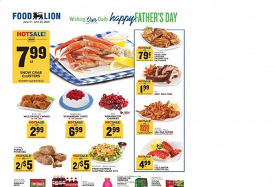 Food Lion Weekly Ad & Flyer June 17 to 23