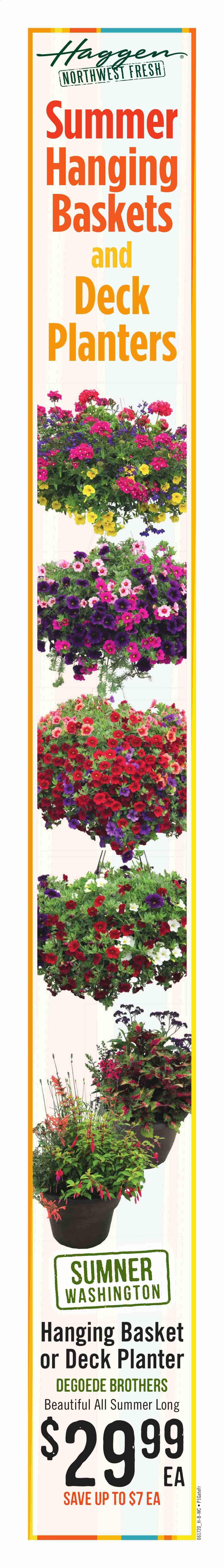 Haggen Weekly Ad & Flyer June 17 to 23