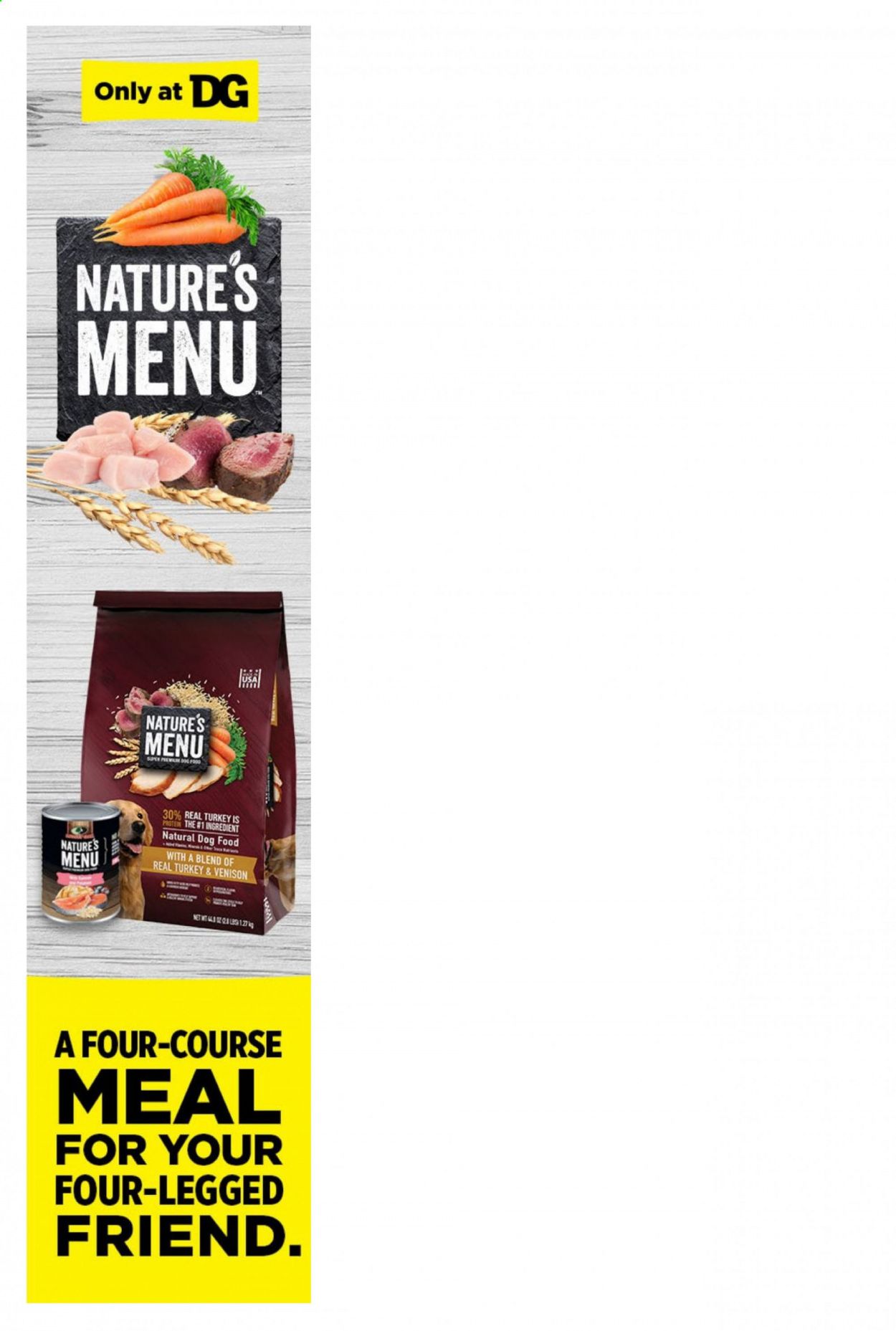 Dollar General Weekly Ad & Flyer June 21 to 27