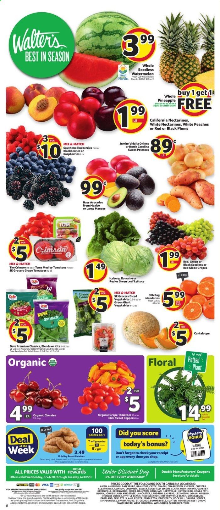 BI-LO Weekly Ad & Flyer June 24 to 30