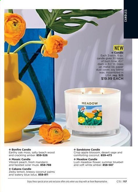 Avon Weekly Ad & Flyer June 23 to July 6