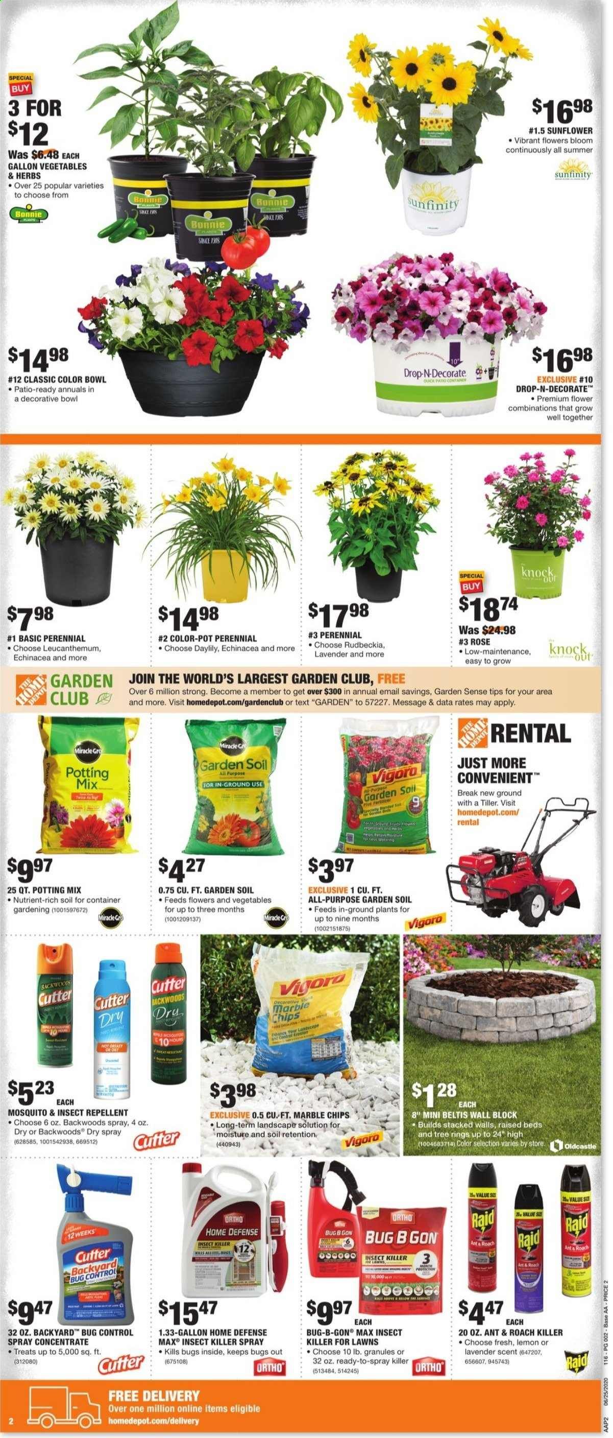 The Home Depot (START SUMMER HERE) Weekly Ad & Flyer June 25 to July 5