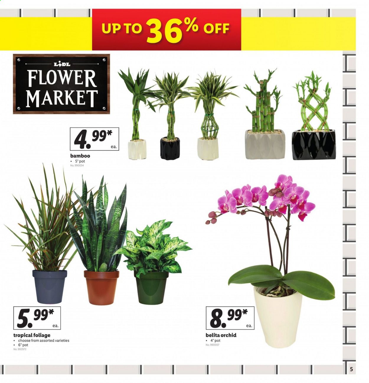 Lidl Weekly Ad & Flyer June 24 to 30