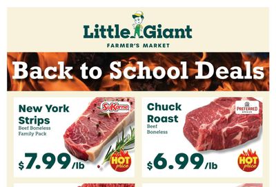 Little Giant Weekly Ad August 5 - 11, 2026