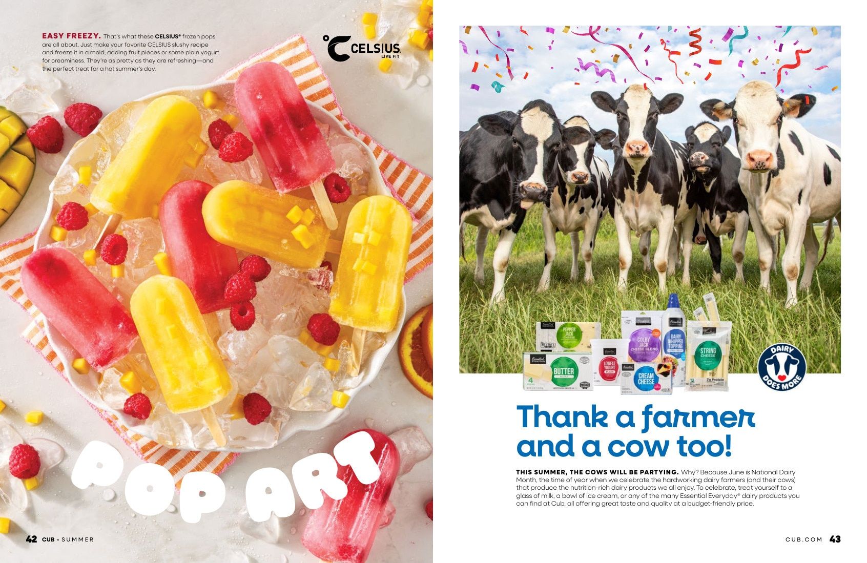 Cub Foods (Minnesota) Summer Magazine Weekly Ad May 6 - August 31, 2026