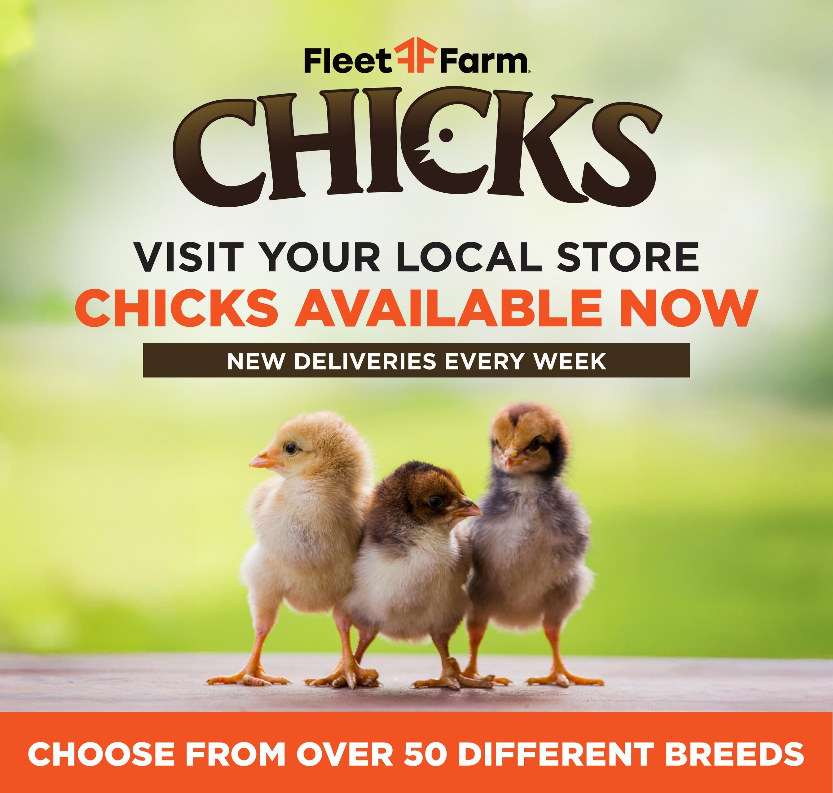 Fleet Farm Weekly Ad August 10 - 16, 2026