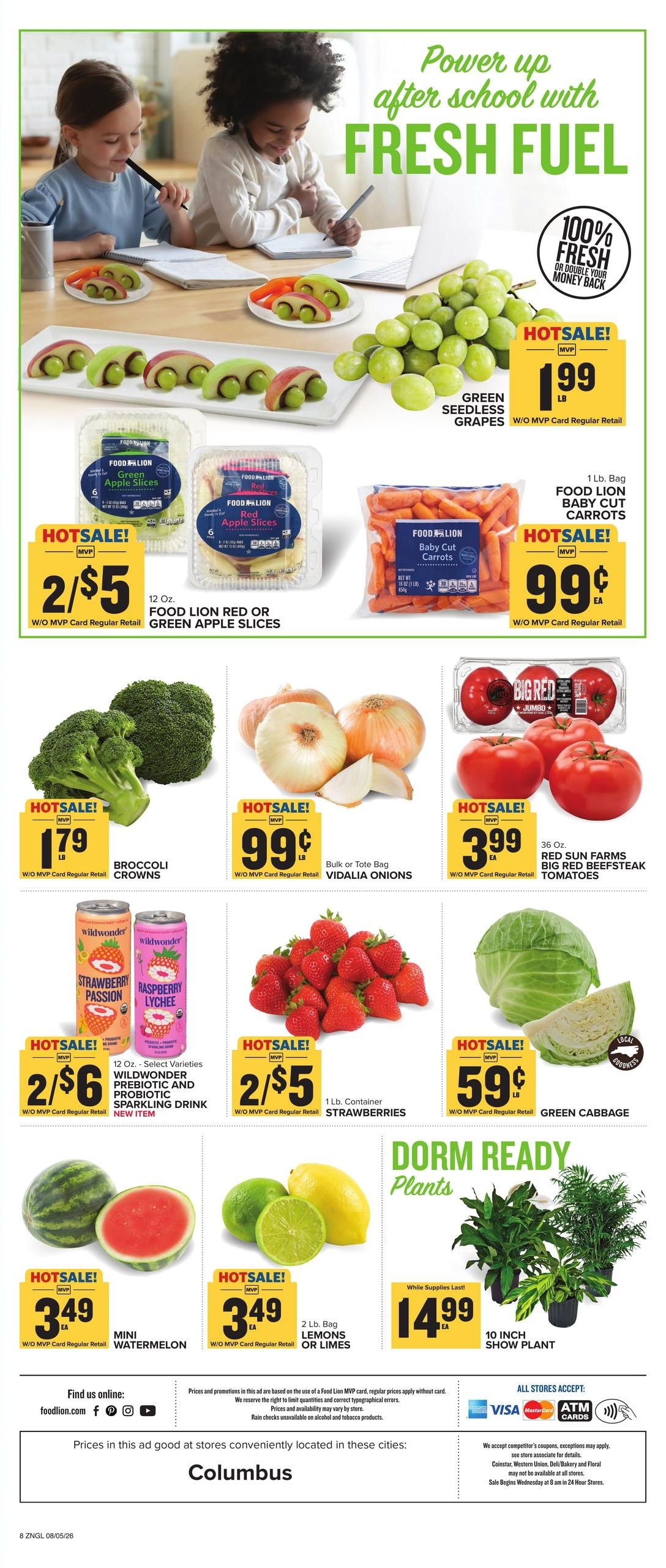 Food Lion (East Flat Rock–Flat Rock Area, NC) Weekly Ad August 5 - 11, 2026