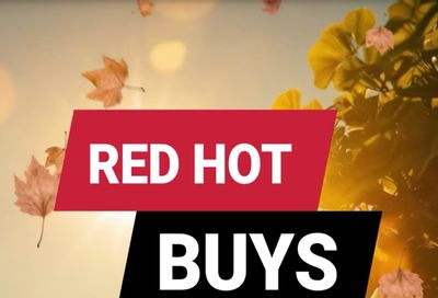 Handyman Supply (Struthers, OH) Weekly Ad August 9 - 15, 2026