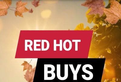 Turney's Ace Hardware Weekly Ad August 9 - 15, 2026