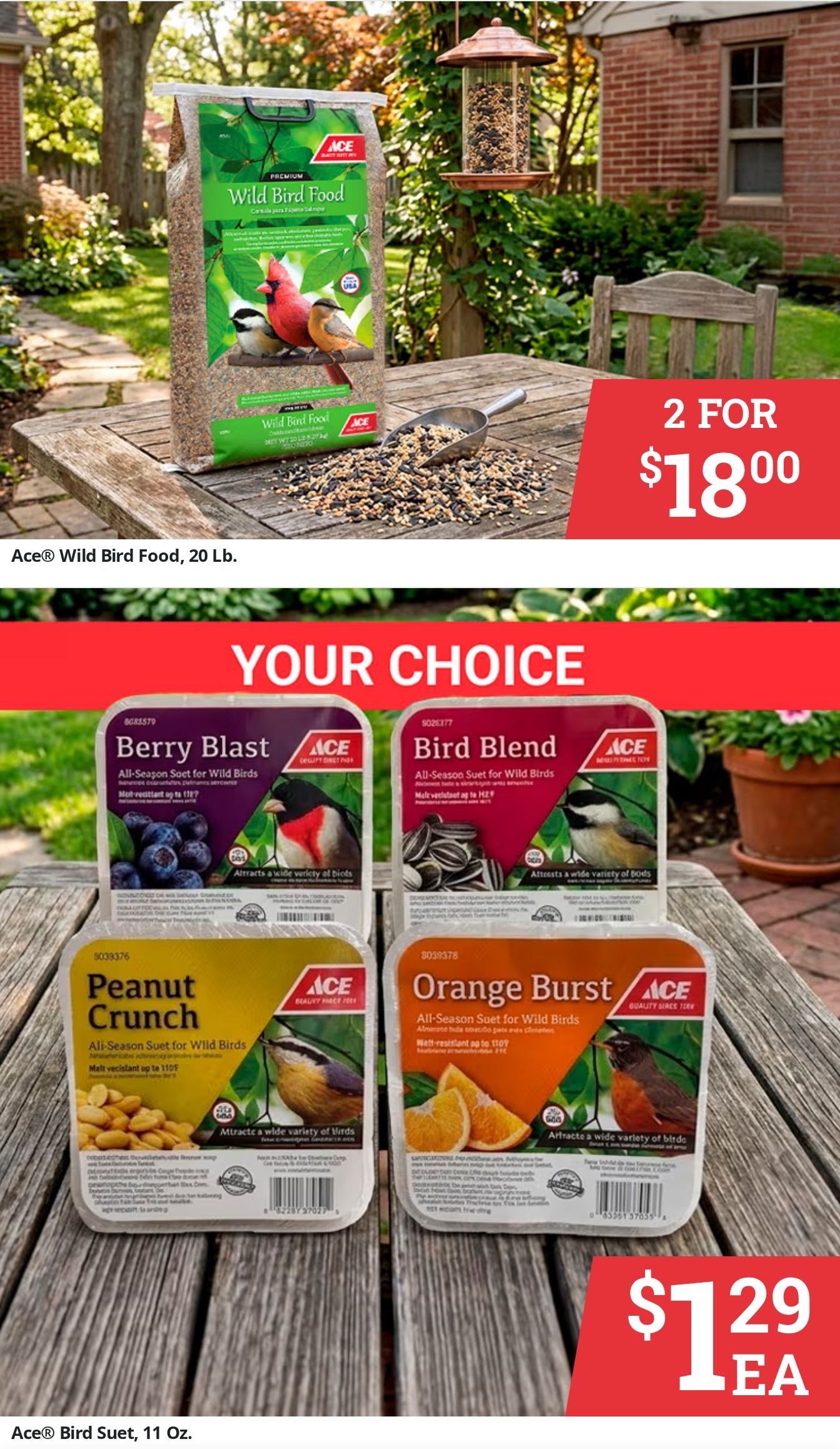 Jordan Ace Hardware Weekly Ad August 9 - 15, 2026