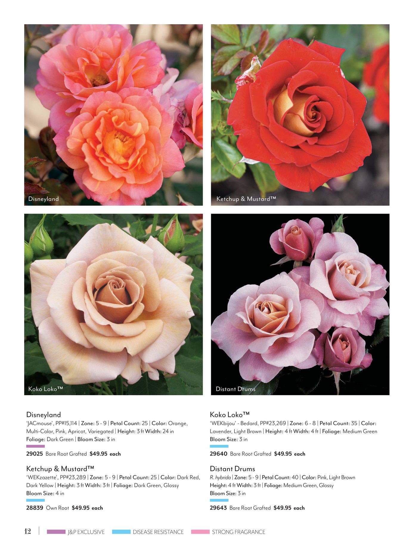 Jackson & Perkins Spring Garden Catalog Weekly Ad January 15, 2026 - January 14, 2027