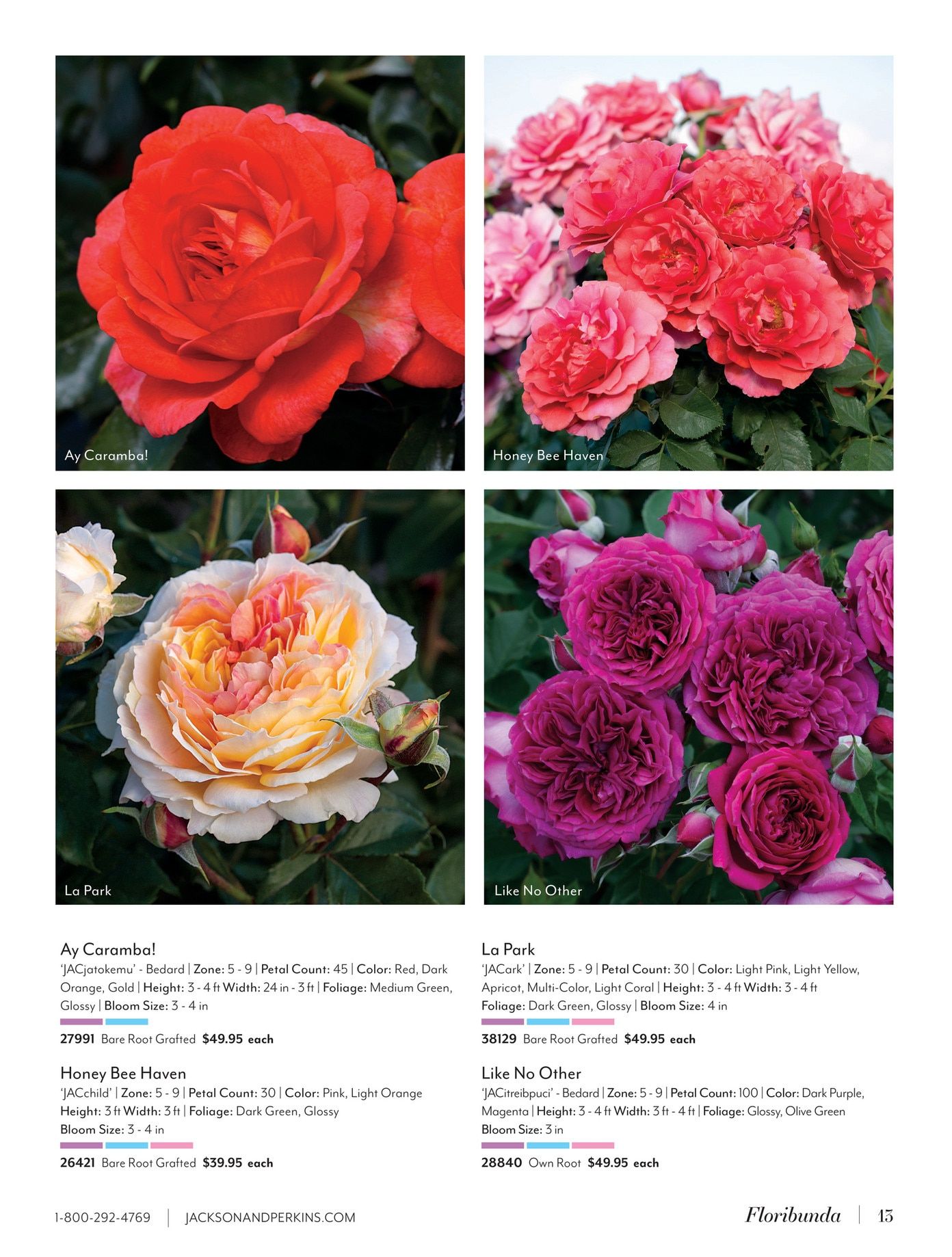 Jackson & Perkins Spring Garden Catalog Weekly Ad January 15, 2026 - January 14, 2027