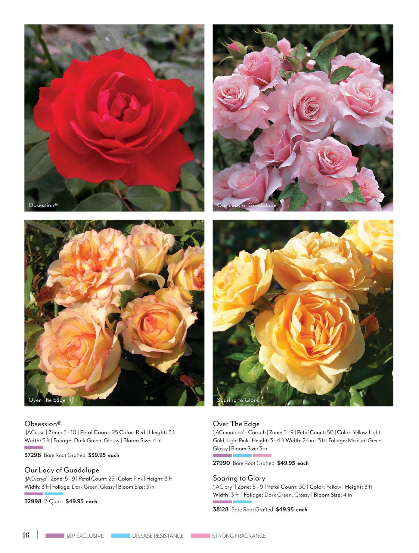 Jackson & Perkins Spring Garden Catalog Weekly Ad January 15, 2026 - January 14, 2027