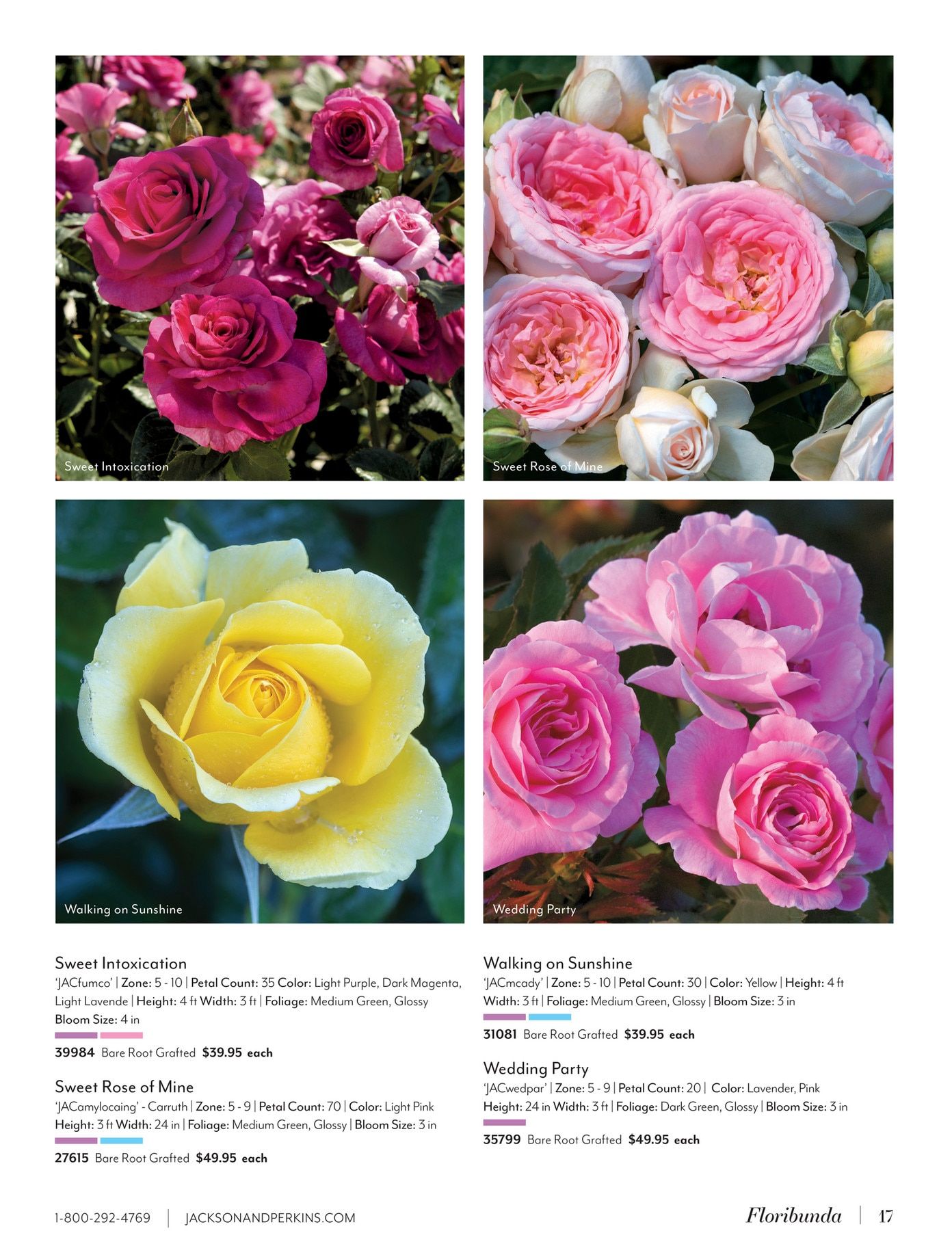 Jackson & Perkins Spring Garden Catalog Weekly Ad January 15, 2026 - January 14, 2027