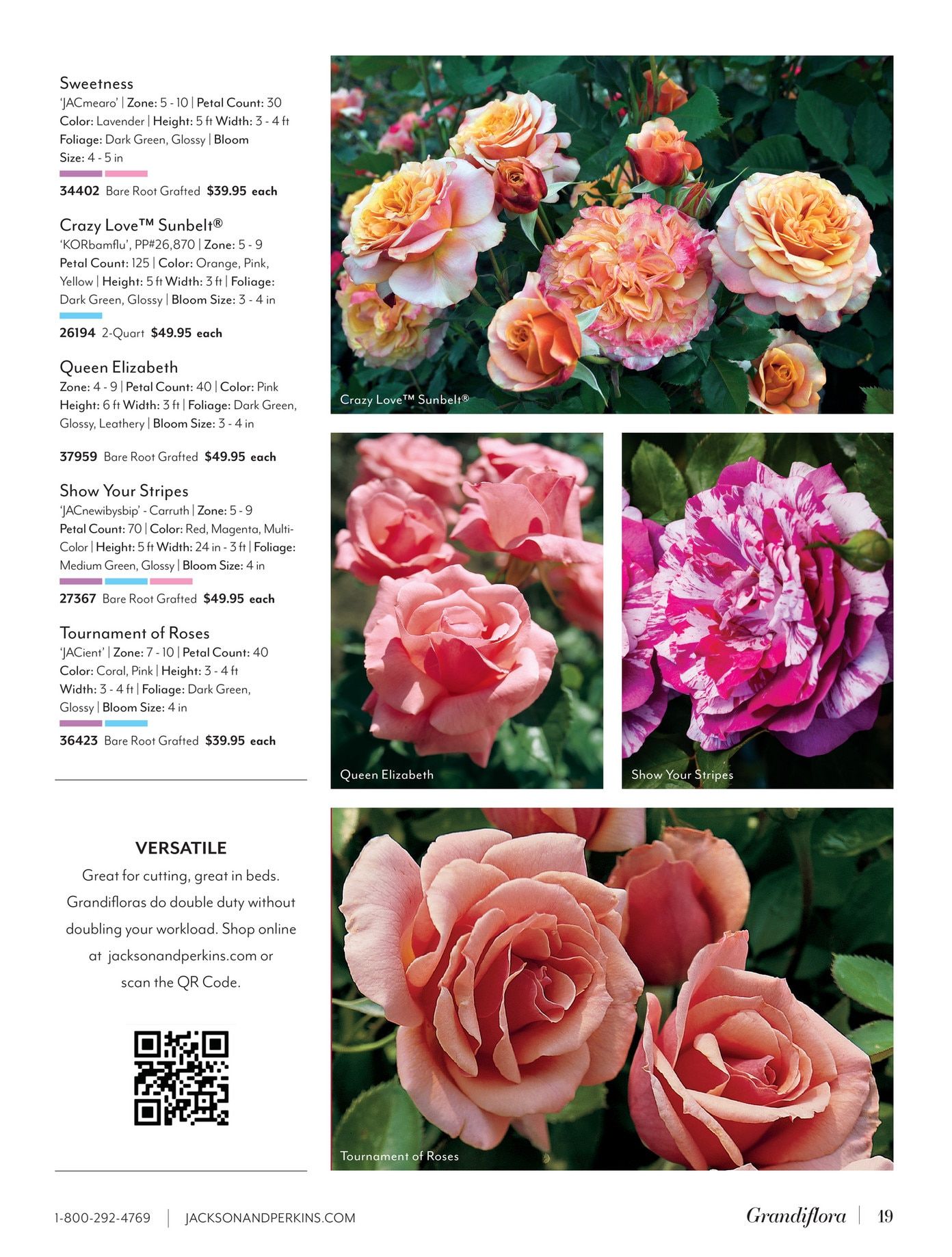Jackson & Perkins Spring Garden Catalog Weekly Ad January 15, 2026 - January 14, 2027