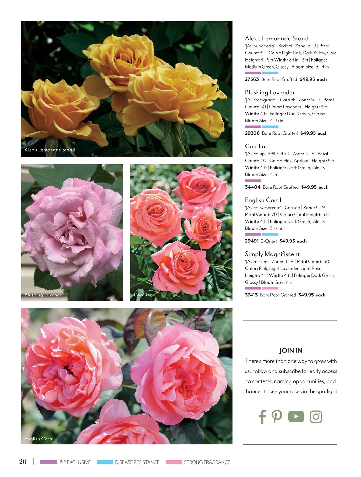 Jackson & Perkins Spring Garden Catalog Weekly Ad January 15, 2026 - January 14, 2027