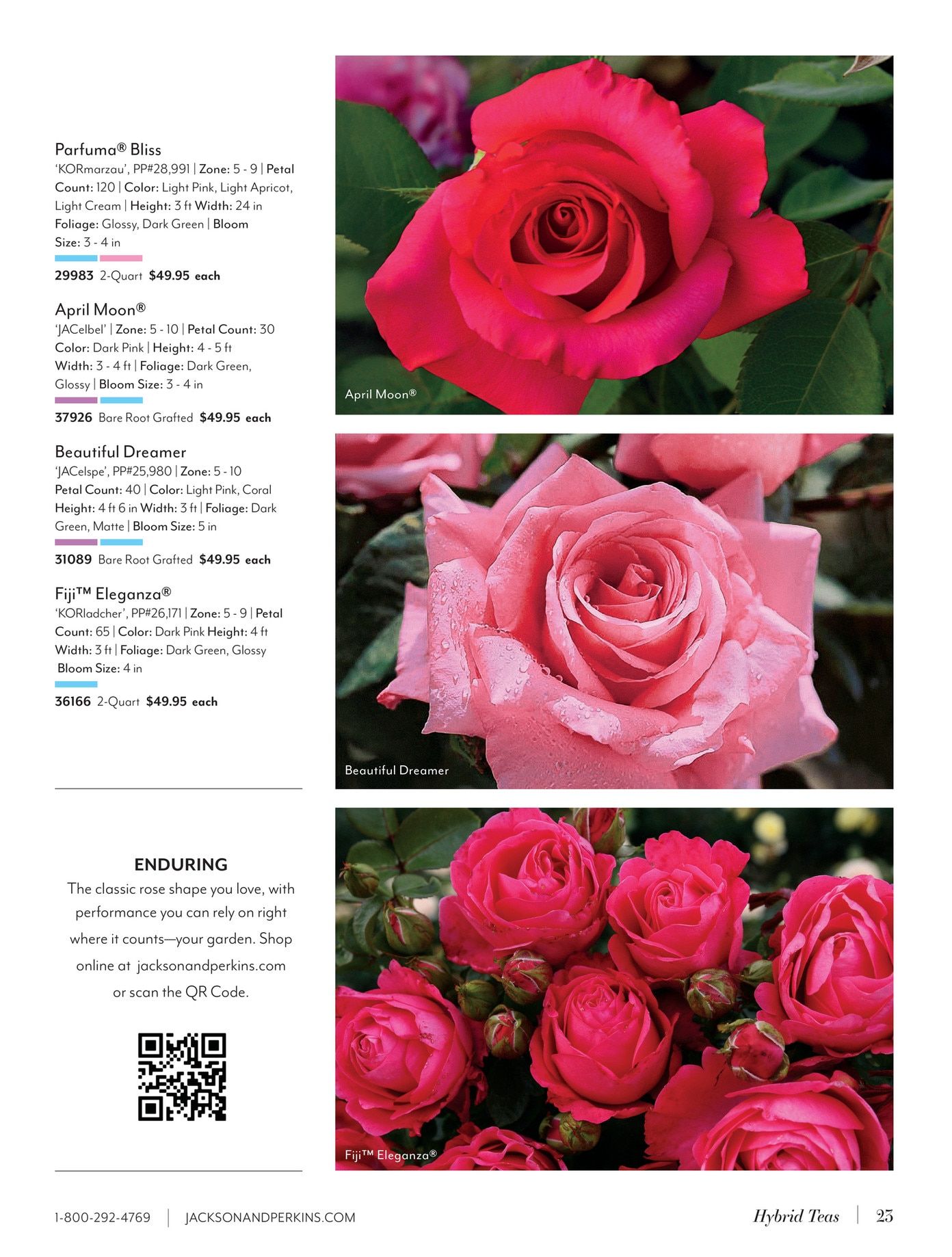 Jackson & Perkins Spring Garden Catalog Weekly Ad January 15, 2026 - January 14, 2027