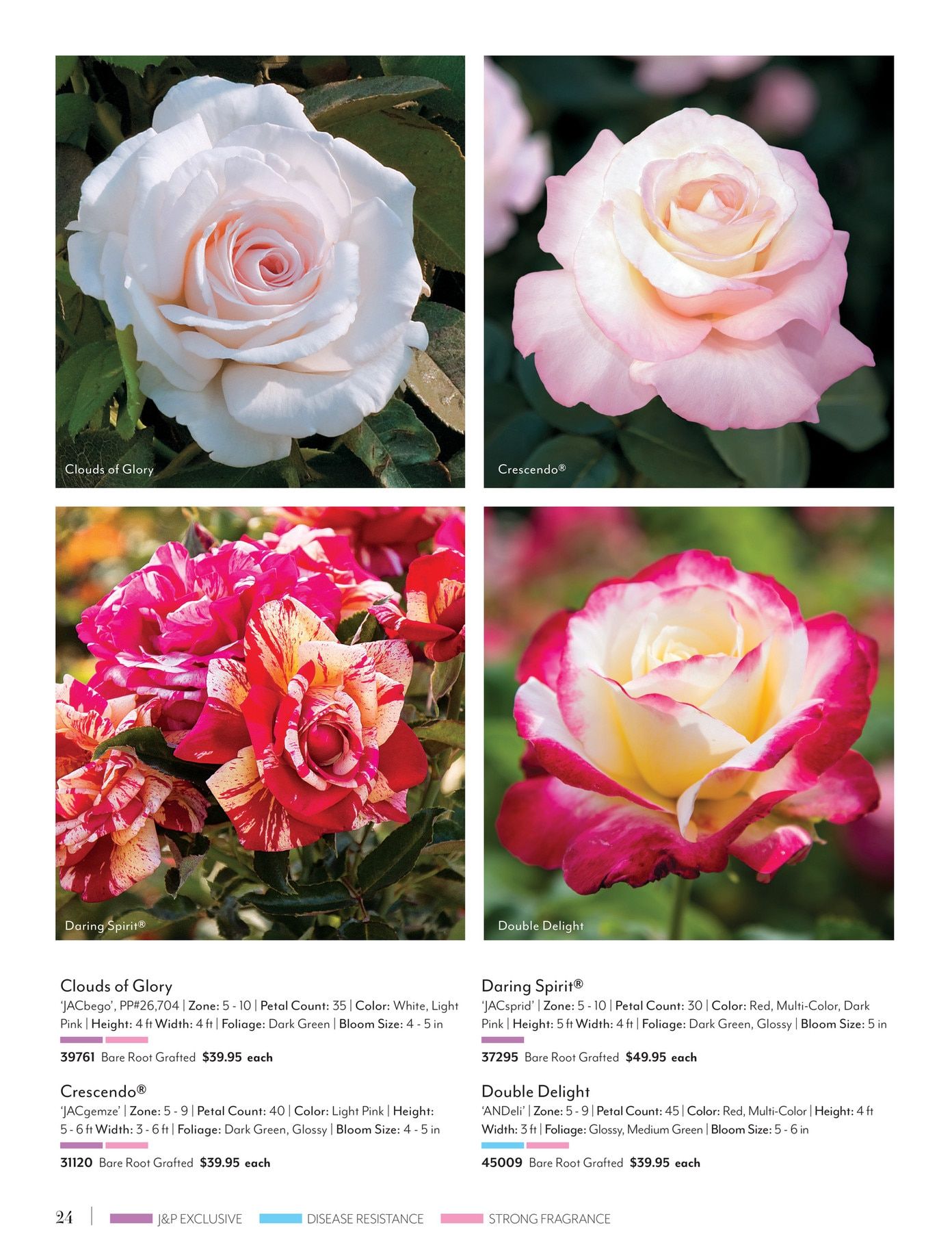 Jackson & Perkins Spring Garden Catalog Weekly Ad January 15, 2026 - January 14, 2027