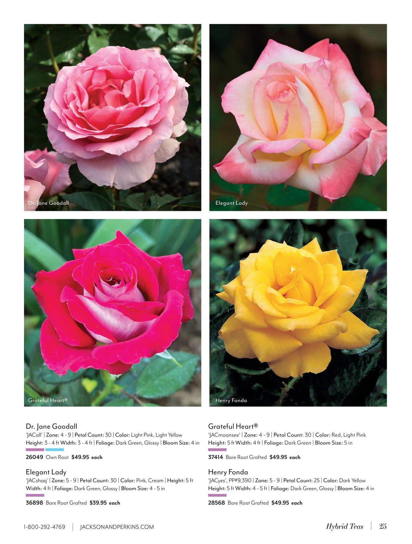 Jackson & Perkins Spring Garden Catalog Weekly Ad January 15, 2026 - January 14, 2027