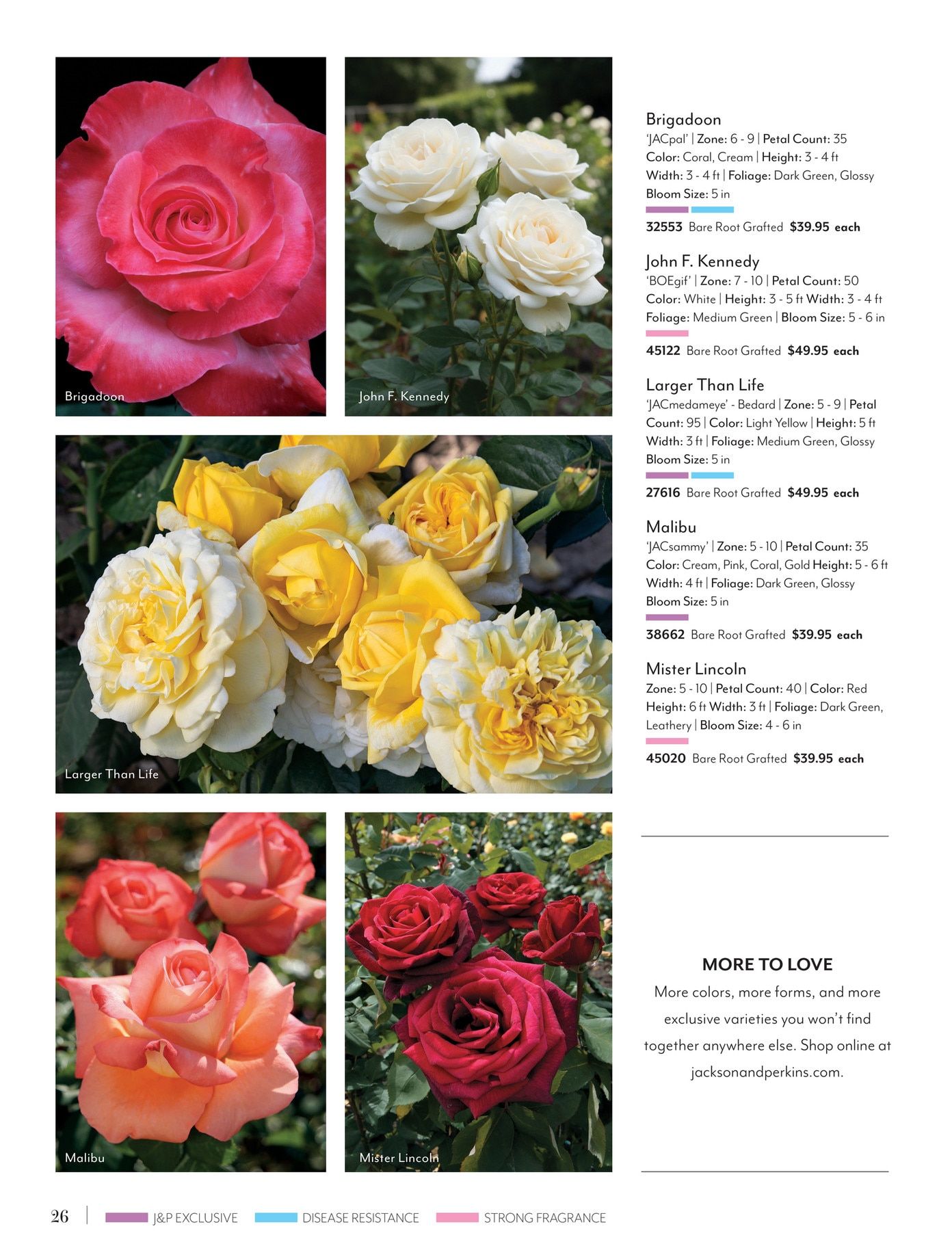 Jackson & Perkins Spring Garden Catalog Weekly Ad January 15, 2026 - January 14, 2027
