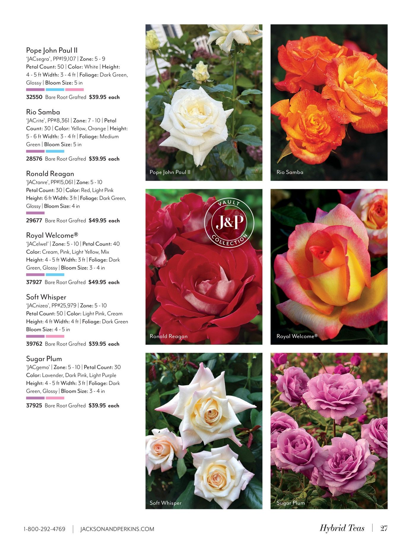Jackson & Perkins Spring Garden Catalog Weekly Ad January 15, 2026 - January 14, 2027