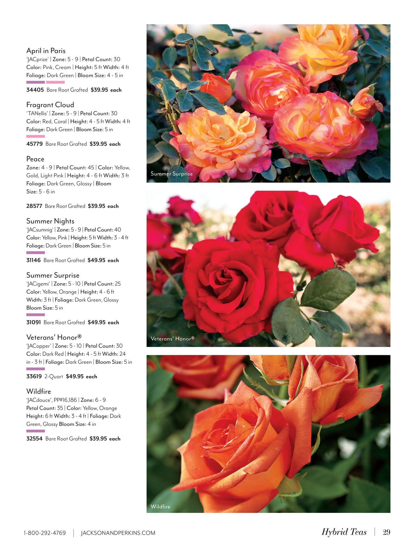 Jackson & Perkins Spring Garden Catalog Weekly Ad January 15, 2026 - January 14, 2027