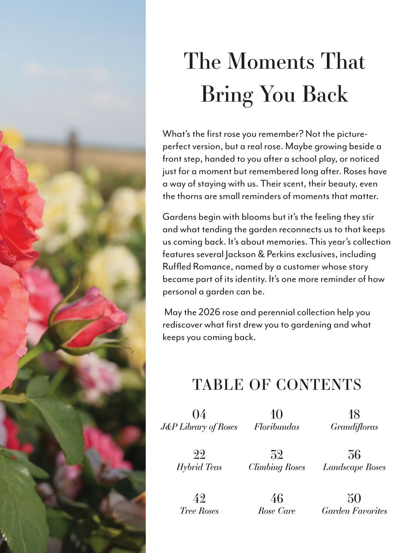 Jackson & Perkins Spring Garden Catalog Weekly Ad January 15, 2026 - January 14, 2027