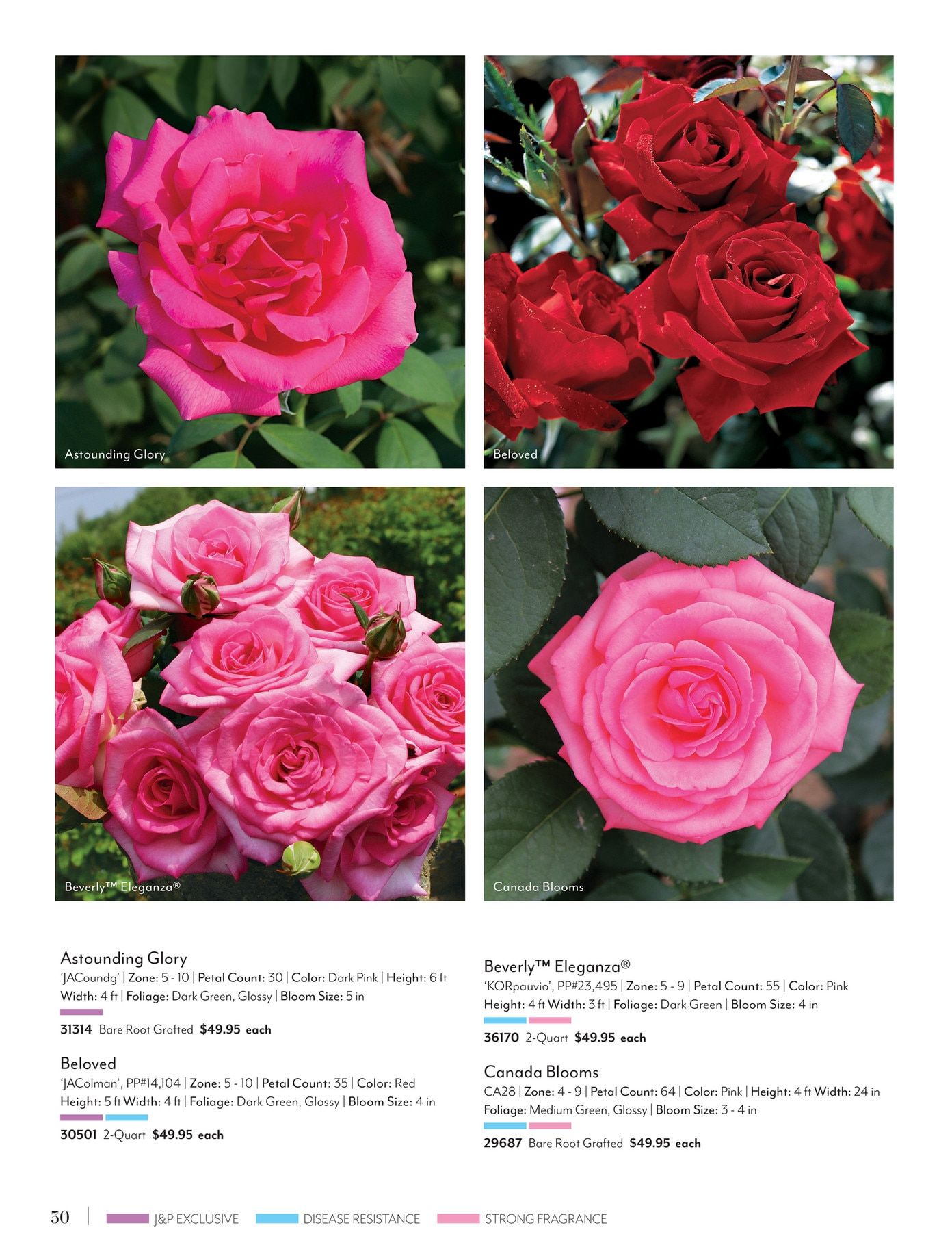 Jackson & Perkins Spring Garden Catalog Weekly Ad January 15, 2026 - January 14, 2027