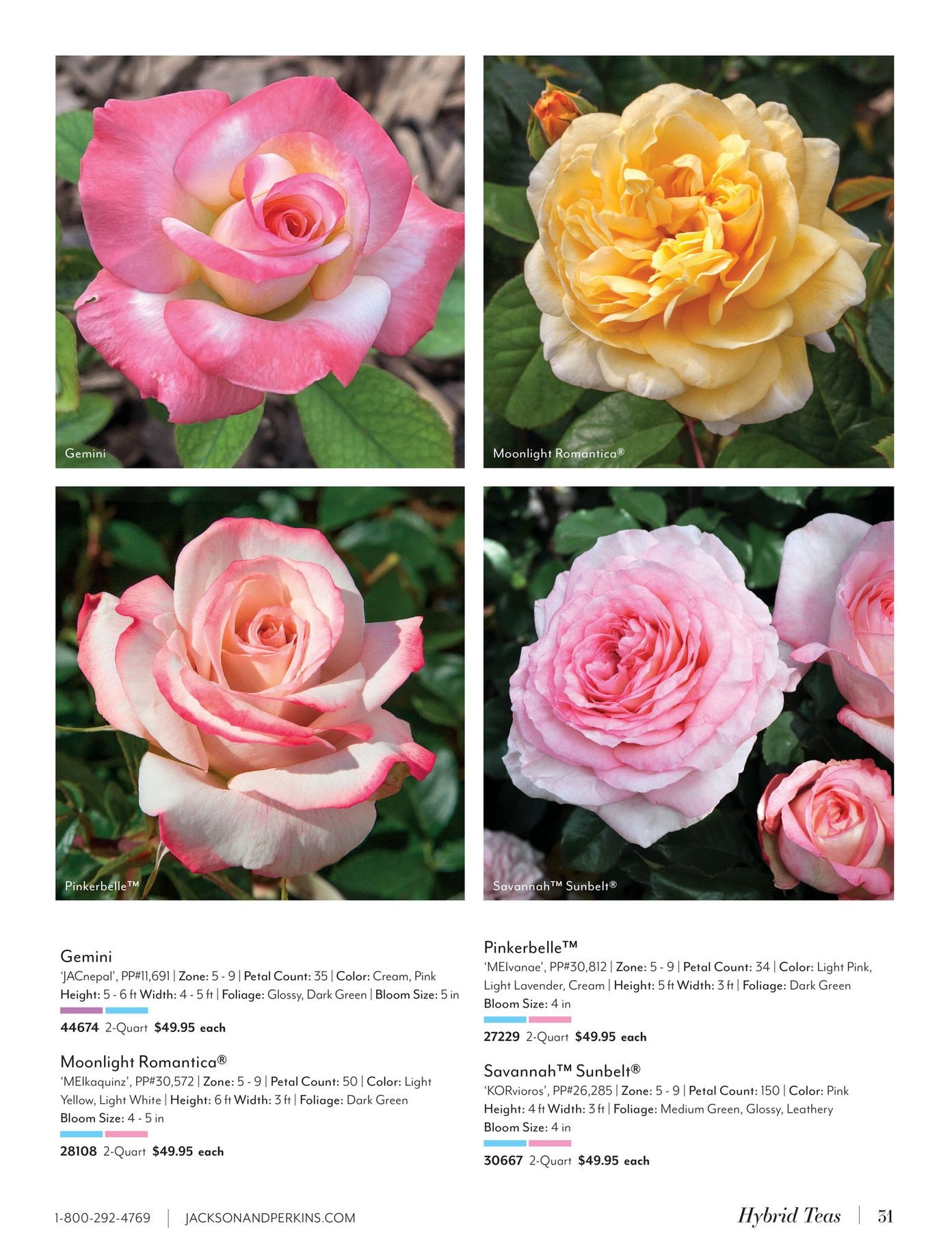Jackson & Perkins Spring Garden Catalog Weekly Ad January 15, 2026 - January 14, 2027