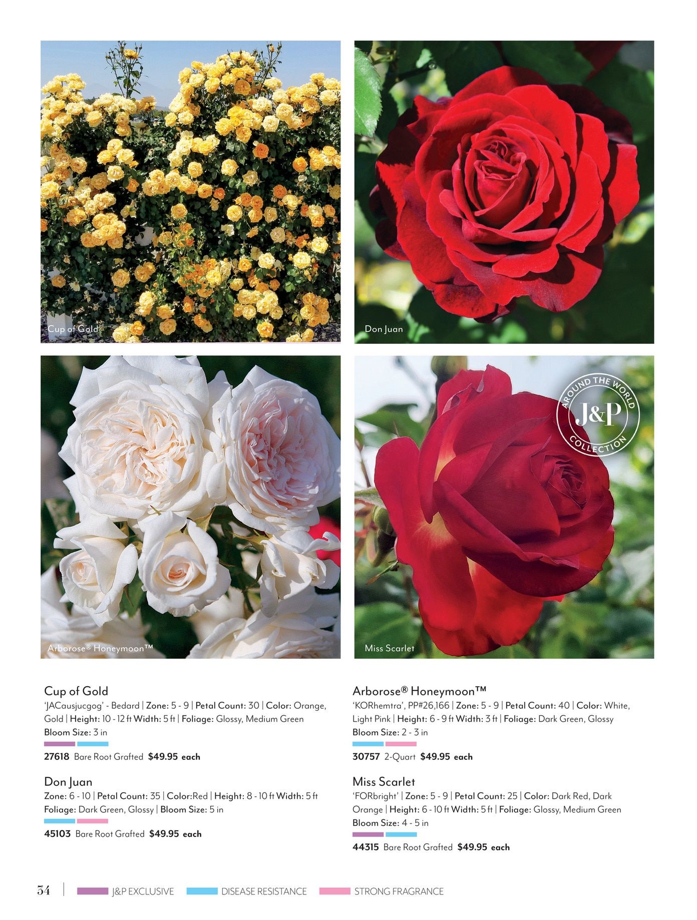 Jackson & Perkins Spring Garden Catalog Weekly Ad January 15, 2026 - January 14, 2027