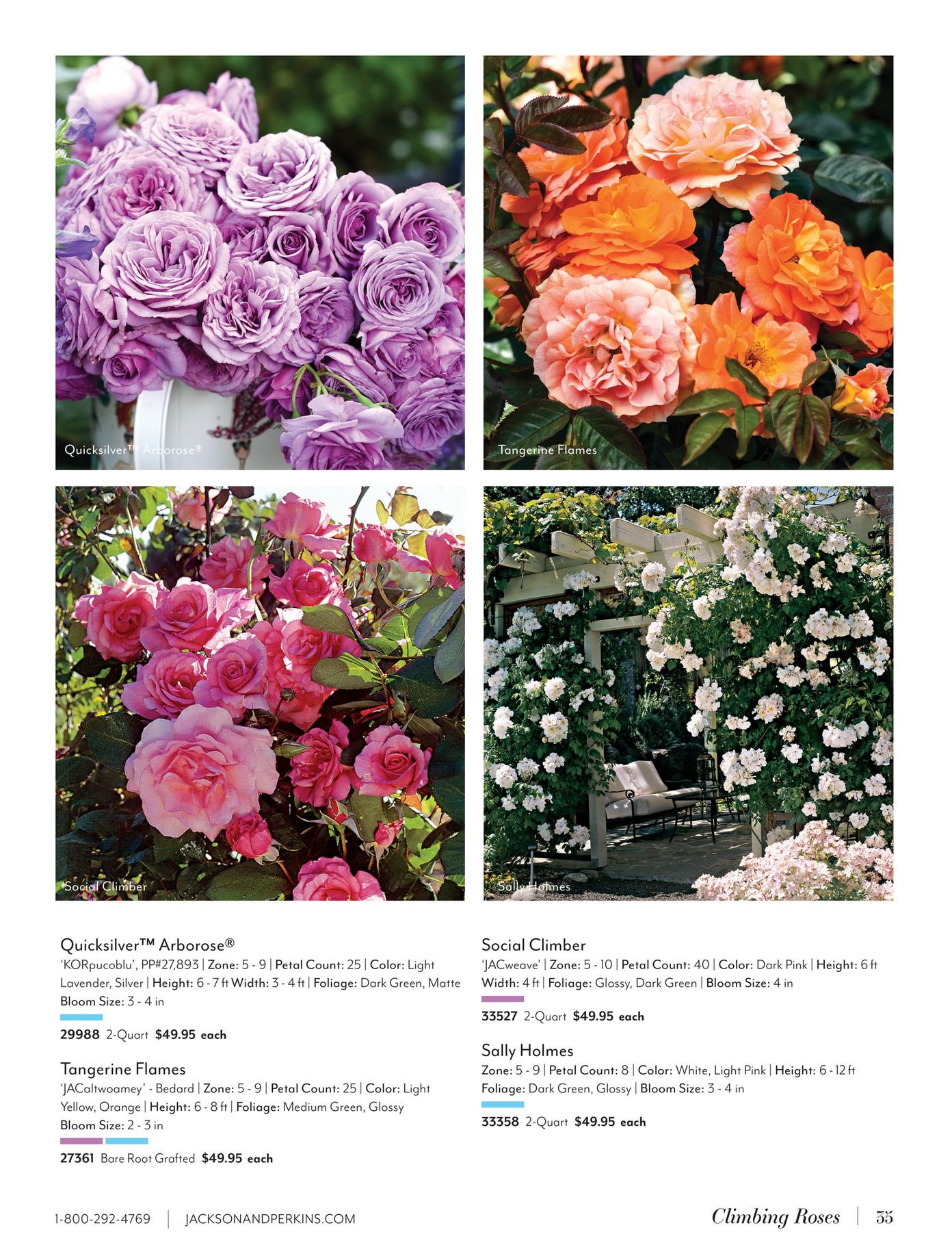 Jackson & Perkins Spring Garden Catalog Weekly Ad January 15, 2026 - January 14, 2027