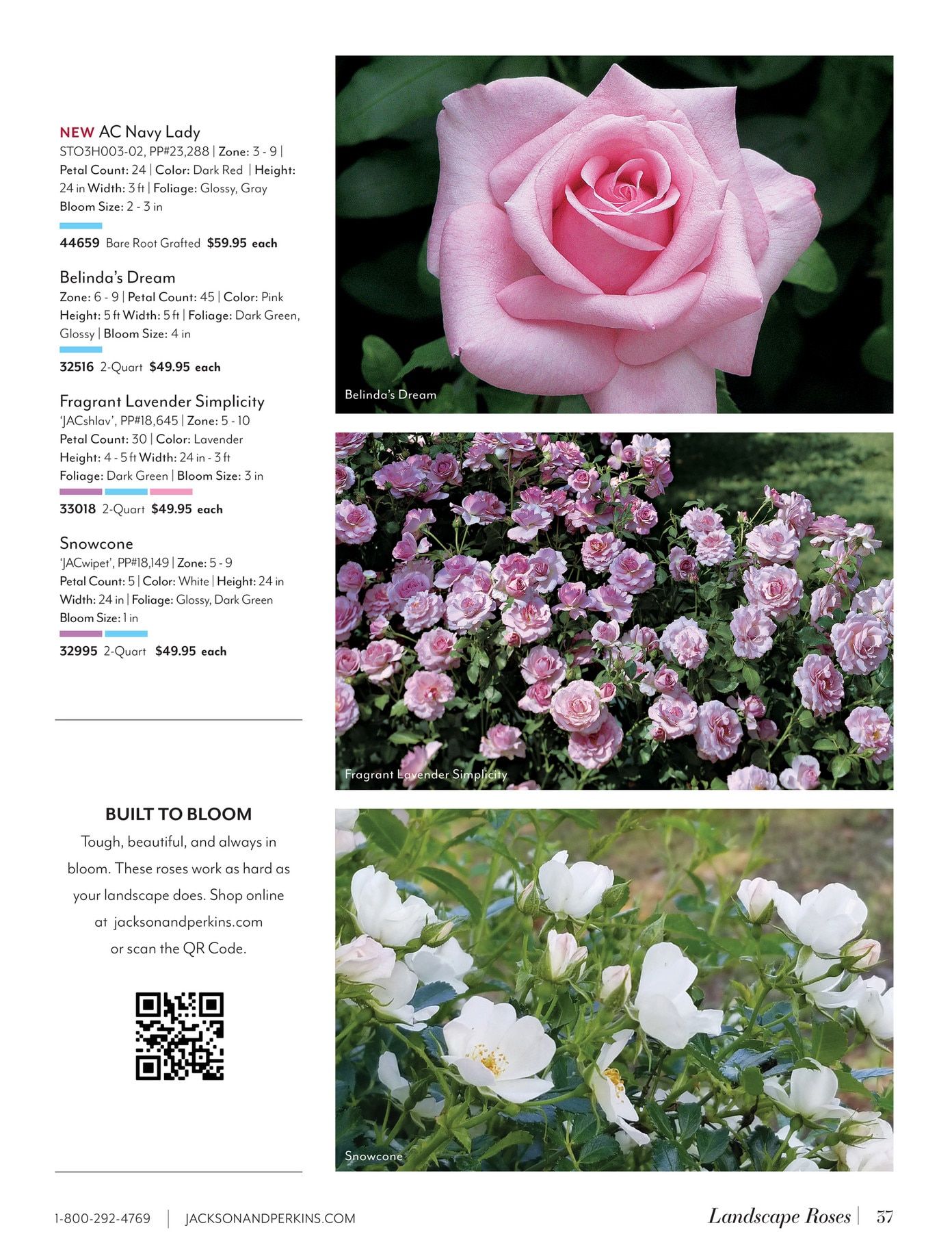 Jackson & Perkins Spring Garden Catalog Weekly Ad January 15, 2026 - January 14, 2027