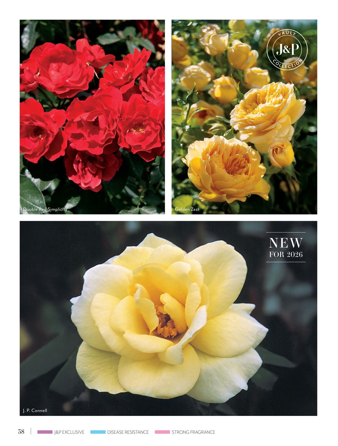 Jackson & Perkins Spring Garden Catalog Weekly Ad January 15, 2026 - January 14, 2027