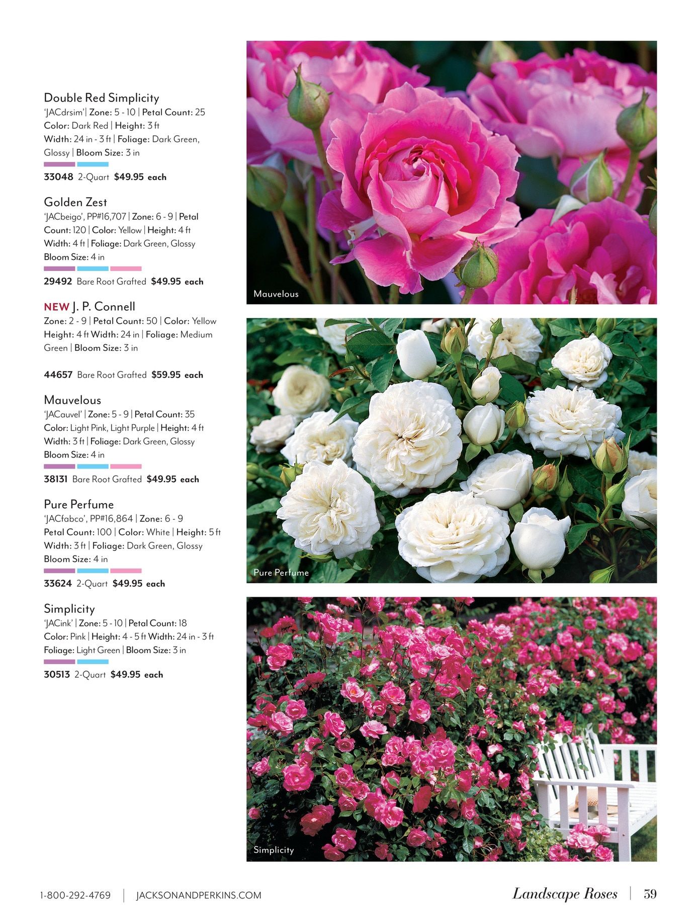 Jackson & Perkins Spring Garden Catalog Weekly Ad January 15, 2026 - January 14, 2027